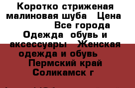 Коротко стриженая малиновая шуба › Цена ­ 10 000 - Все города Одежда, обувь и аксессуары » Женская одежда и обувь   . Пермский край,Соликамск г.